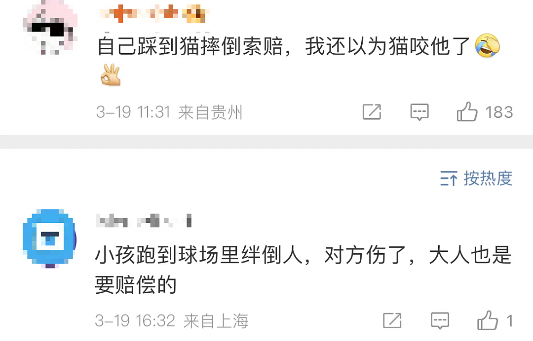 热搜第一！上海一男子被流浪猫绊倒，投喂者被判赔24万，网友吵翻（组图） - 13