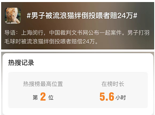 热搜第一！上海一男子被流浪猫绊倒，投喂者被判赔24万，网友吵翻（组图） - 1