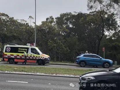 悉尼华女开车闯红灯撞倒一名学生！辩称是一时大意（组图） - 3