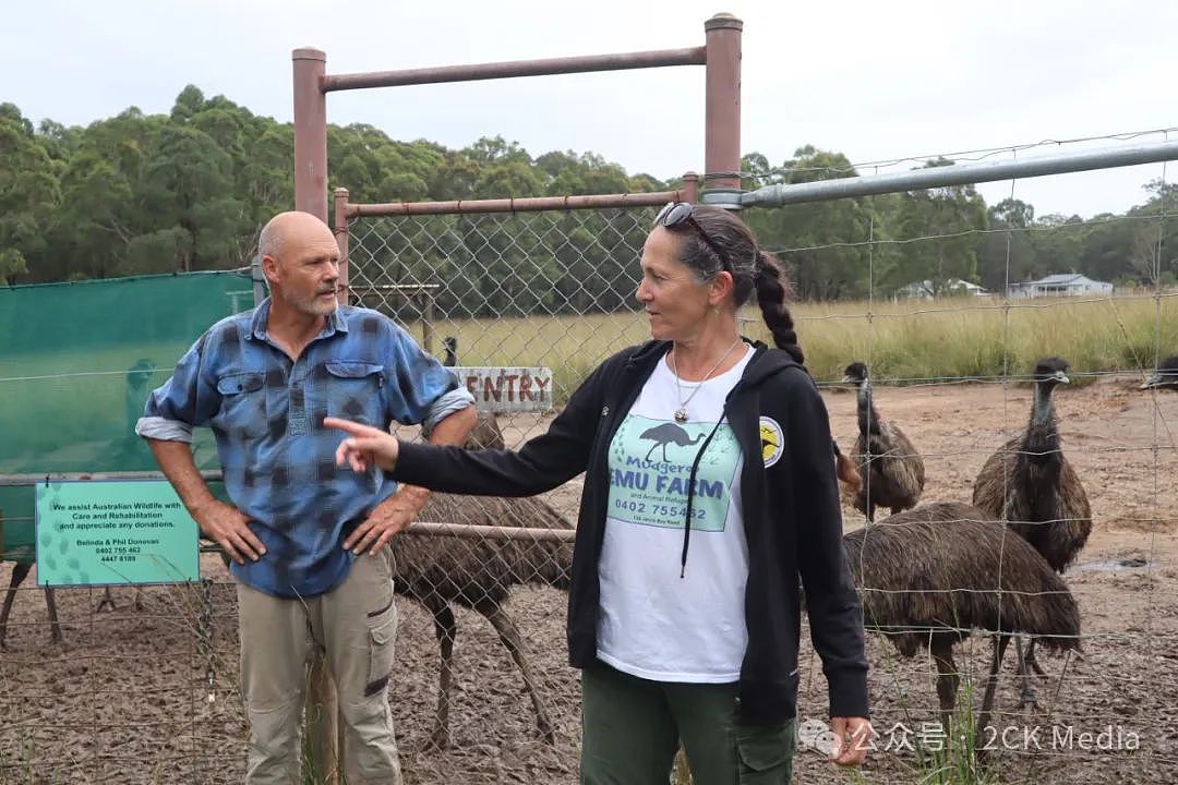 独家原创：Emu农场主人和他们救助受伤动物的故事（组图） - 4