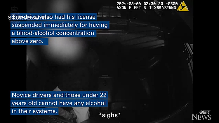 疯！20岁华人小伙深夜酒驾：豪车上路飘逸！被捕时想找爸妈+标准国骂…（组图） - 5