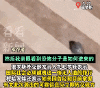 已致143死，11人被捕！中国留学生：同伴“全身都是枪的弹孔“！回国机票价格猛涨？（组图） - 7