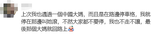 悉尼华人抢车位被拍，视频网上疯传！“人肉占位”再次引发热议（组图） - 26