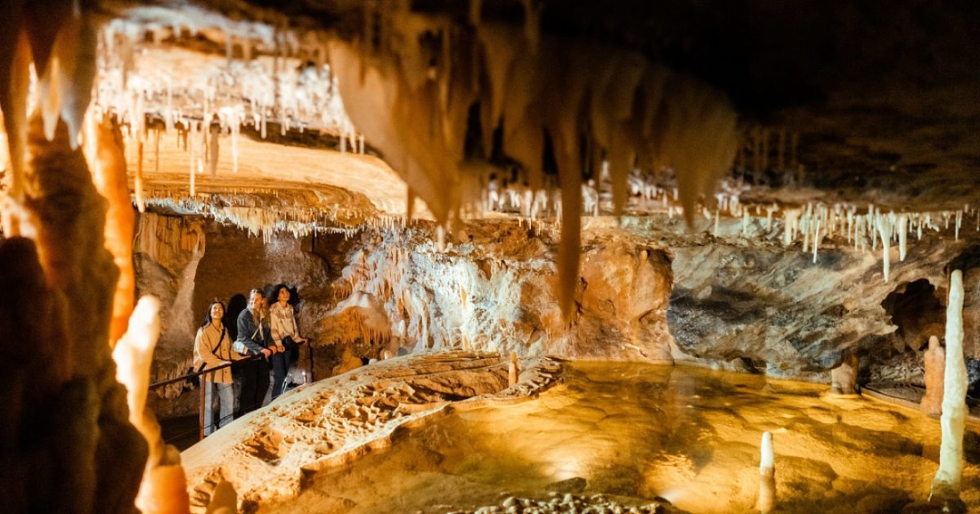 超好玩！维州千年洞穴奇景已重新开放，达芬奇作品展登陆墨尔本，巨幅蒙娜丽莎，还有限定主题晚宴（组图） - 2