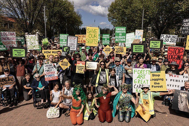 呼吁停止原生林砍伐！澳洲各地数千人示威“为森林抗争”（组图） - 1