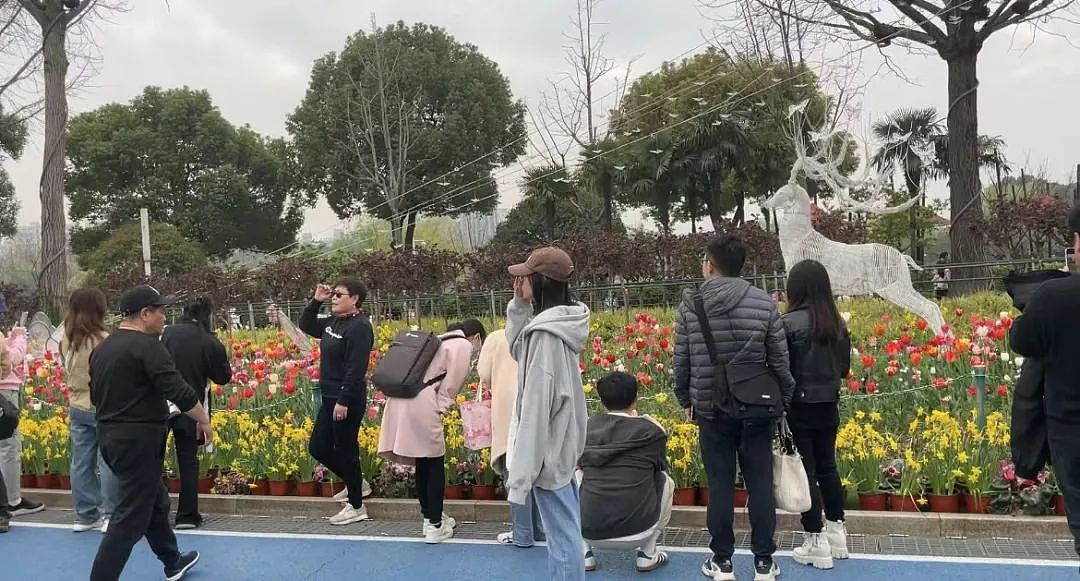 上海这个公园的告示牌竟出现30个“禁止”！市民：有必要吗？还能好好玩耍吗？（组图） - 1