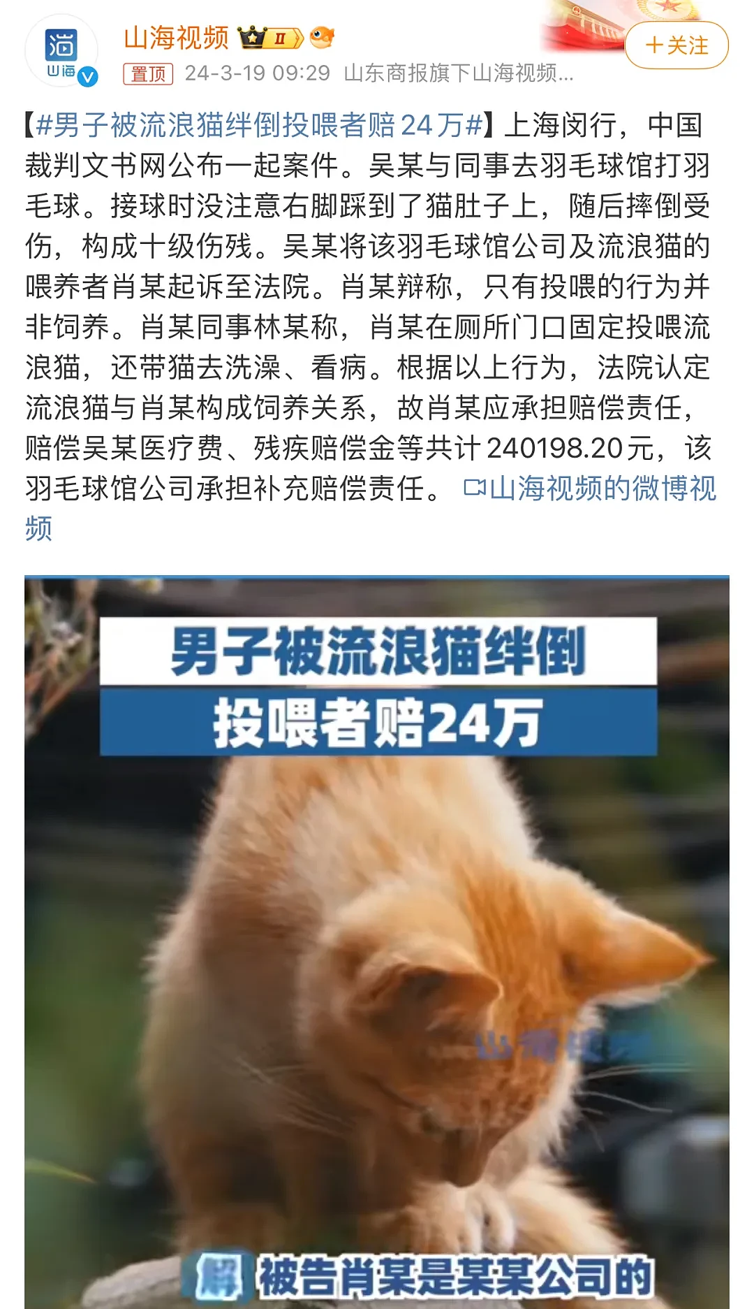 【宠物】热搜第2！男子被流浪猫绊倒成十级伤残，投喂者被判赔24万...（视频/组图） - 1