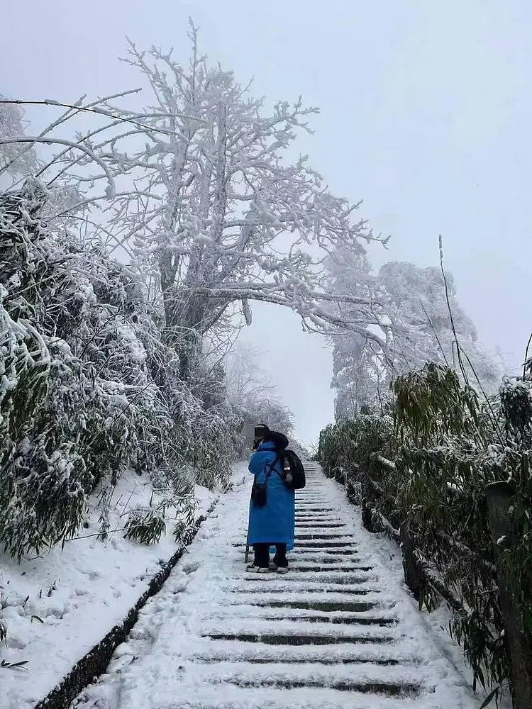 23岁女大学生独游峨眉山失联个半月后寻回遗体！堕崖原因未明（组图） - 3