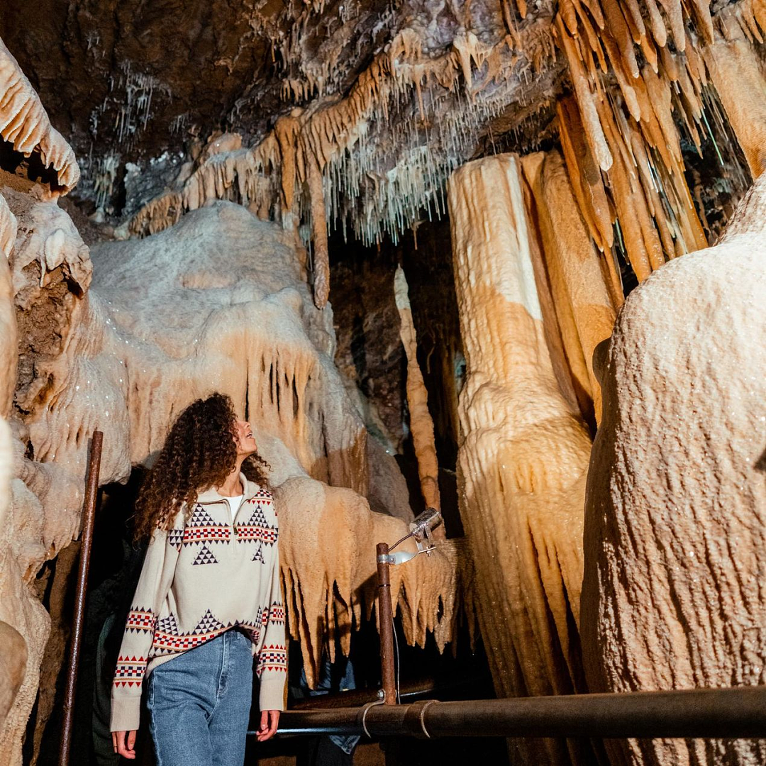关闭良久终于重开！维州4亿年洞穴奇景今起向游客开放！达芬奇也登陆墨尔本（组图） - 4