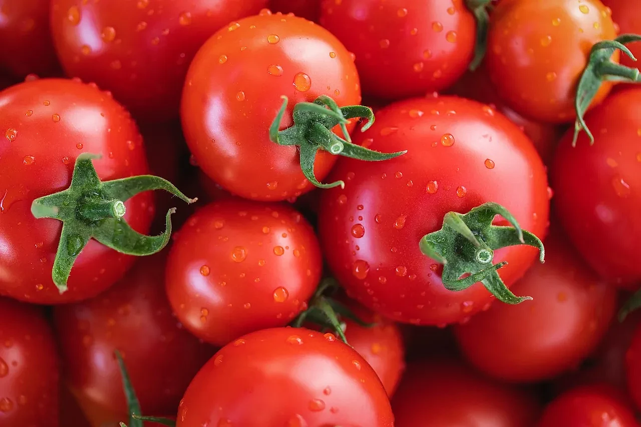 美国医师认证，蕃茄富含的茄红素是强力抗氧化剂，可对抗全身性发炎。翻摄Pixabay
