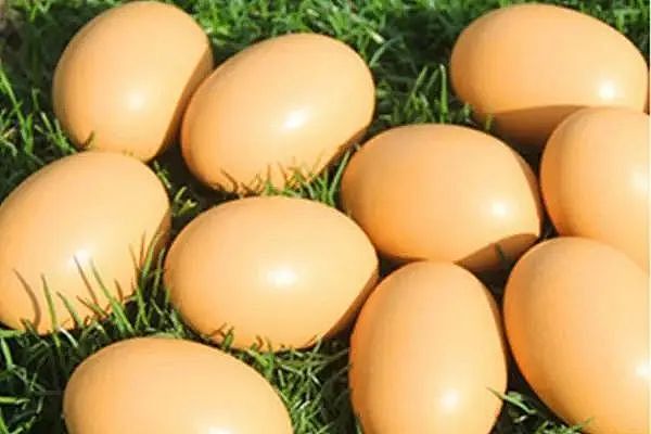 中国高血脂逐年增多，是否和鸡蛋有关呢？医生：这6物嘴下留情（组图） - 9
