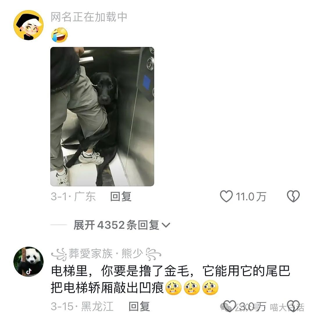 【爆笑】“大学生是如何整治外卖小偷的？”哈哈哈哈哈哈哈操作太骚了（组图） - 102