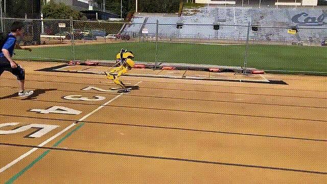 400米2分34秒破纪录，伯克利双足机器人接管人类（组图） - 15