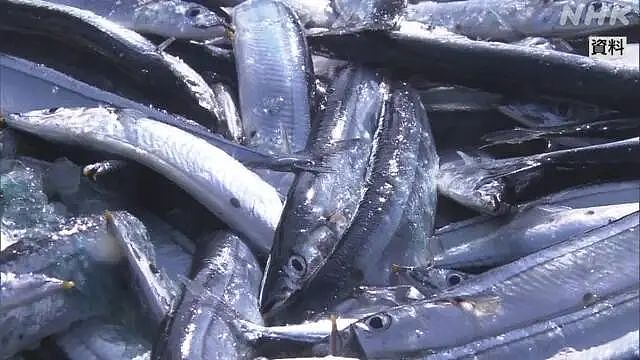 继保健品吃死人后，日本秋刀鱼被查出致癌物超标40倍（组图） - 2