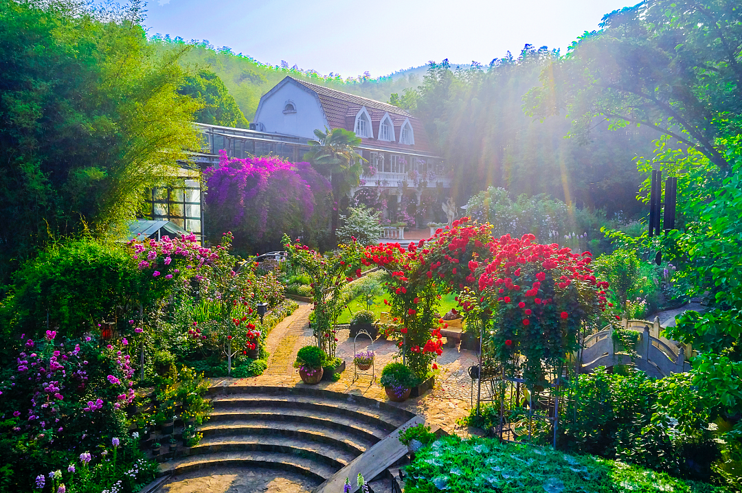 他花20年把荒山变中国最美私家花园，火到国外！澳媒多次评为“十大梦幻花园民宿”（组图） - 29