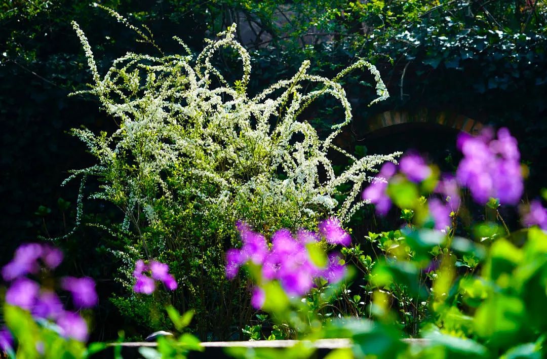 他花20年把荒山变中国最美私家花园，火到国外！澳媒多次评为“十大梦幻花园民宿”（组图） - 5