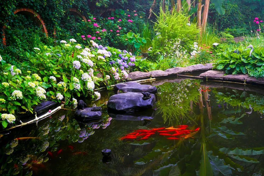 他花20年把荒山变中国最美私家花园，火到国外！澳媒多次评为“十大梦幻花园民宿”（组图） - 31