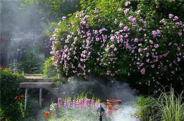 他花20年把荒山变中国最美私家花园，火到国外！澳媒多次评为“十大梦幻花园民宿”（组图） - 12
