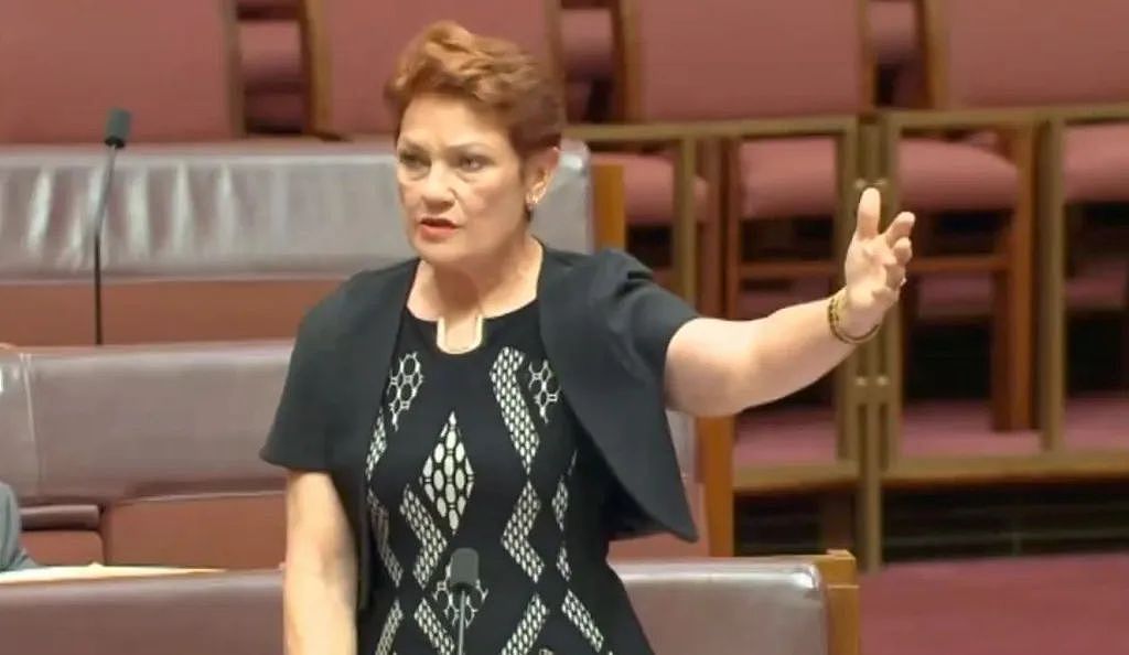 “澳洲正被亚洲人淹没” 澳议员呼吁立即停止移民，声称“已经失控”！同时，这一签证大变天，专家：随机拒签，毫无道理（组图） - 3