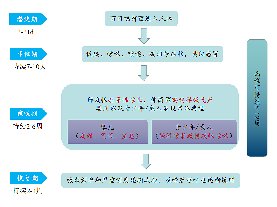 今年已致13死！这种病卷土重来，有人咳到眼睛出血，医生紧急提醒（视频/组图） - 3