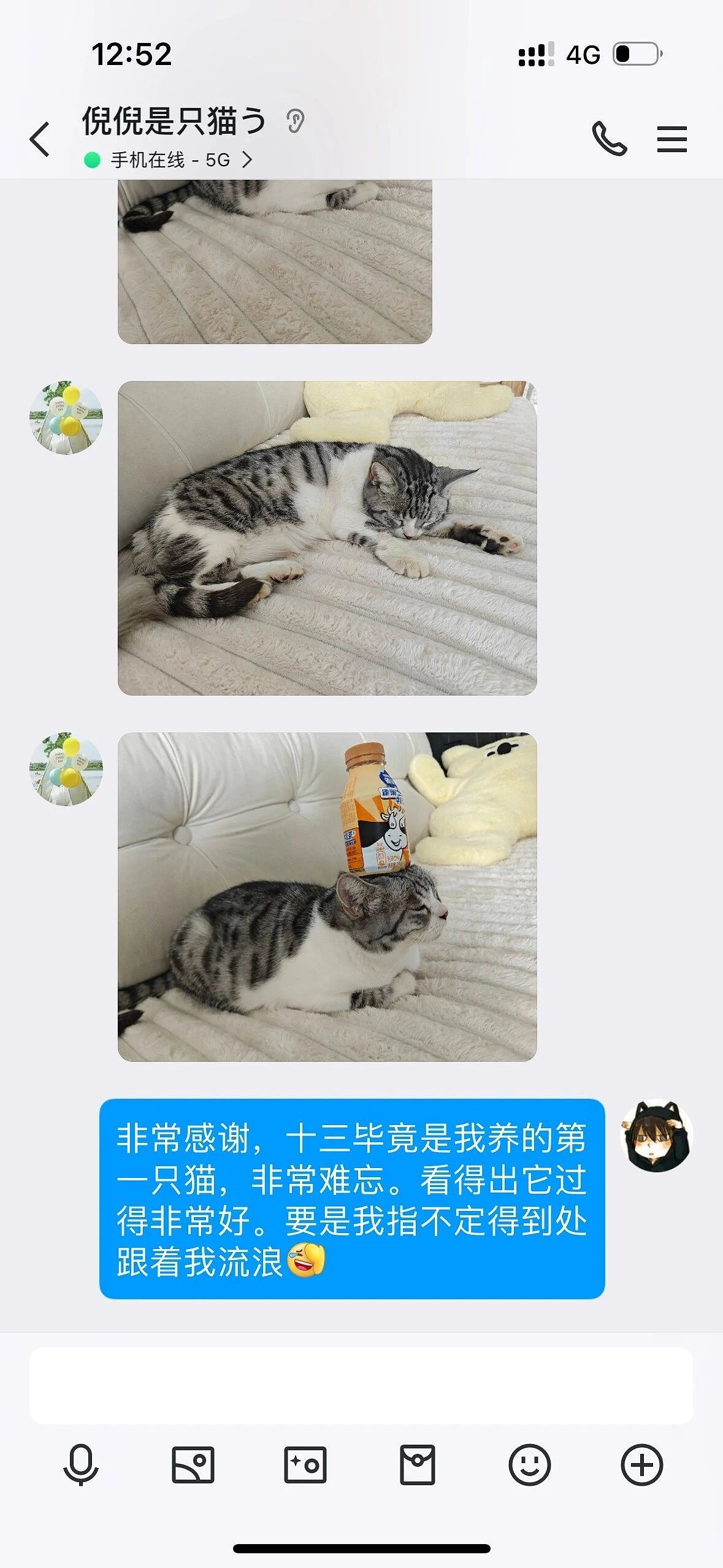 【宠物】网友领养小哥的猫，10年后竟给小哥反馈猫照片：我以为猫可能去世了，一直不敢问（组图） - 2
