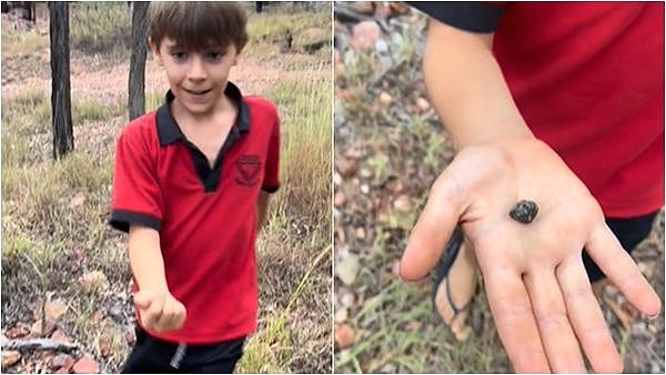 家门口玩泥巴“捡到蓝宝石”！澳洲7岁男童眼光超神，秒赚上万（图） - 1