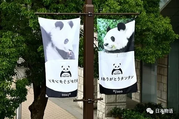 旅日大熊猫旦旦于神户逝世，日本最高龄大熊猫28岁，相当于人类80岁（组图） - 9