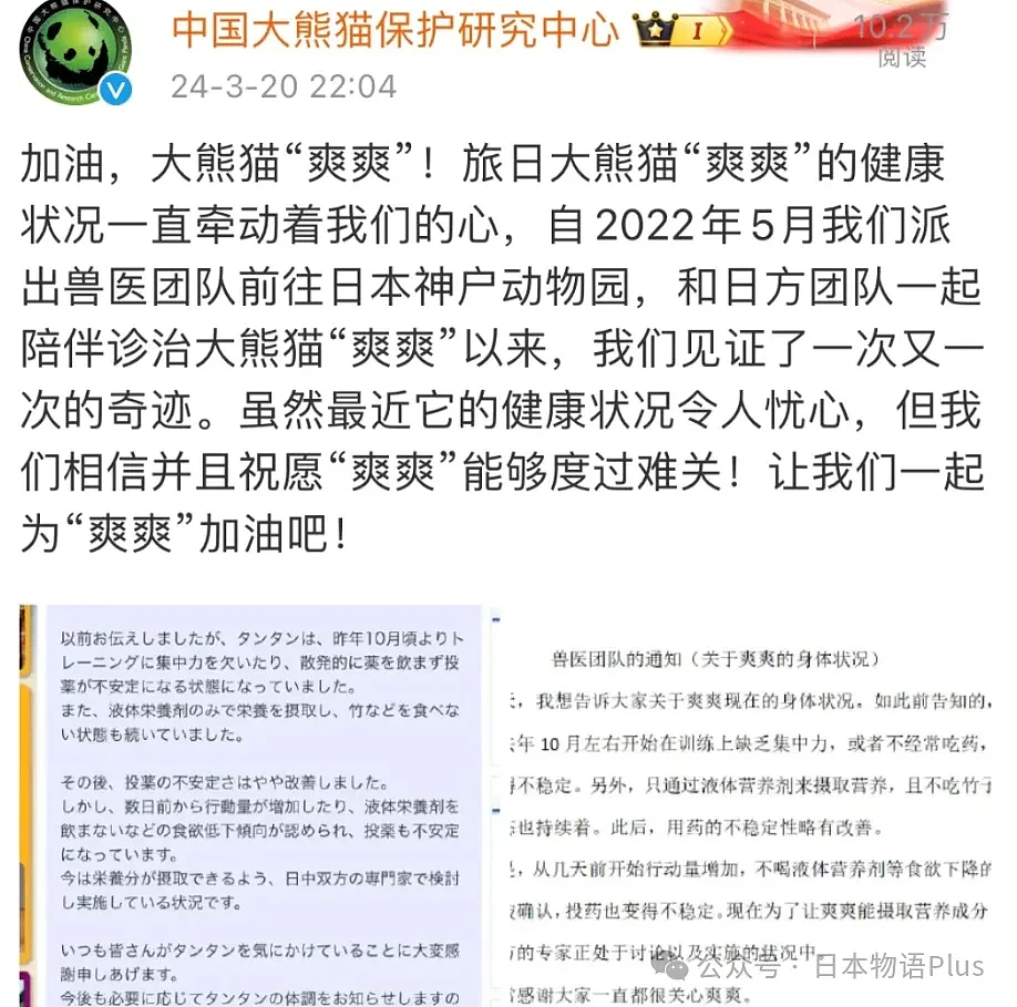 旅日大熊猫旦旦于神户逝世，日本最高龄大熊猫28岁，相当于人类80岁（组图） - 4