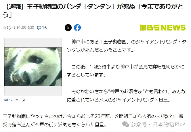 旅日大熊猫旦旦于神户逝世，日本最高龄大熊猫28岁，相当于人类80岁（组图） - 2