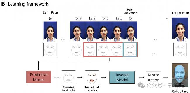 逆天！华裔学生开发人脸机器人，表情超逼真（组图） - 17