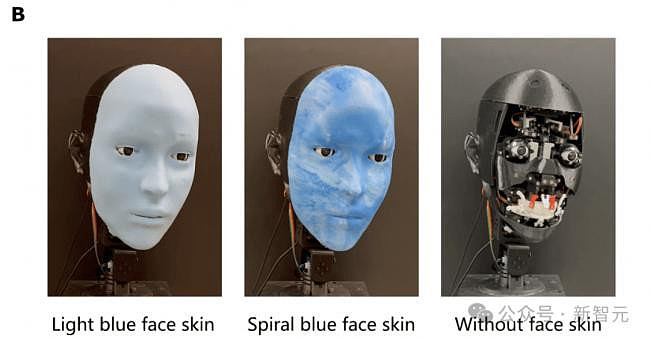 逆天！华裔学生开发人脸机器人，表情超逼真（组图） - 15