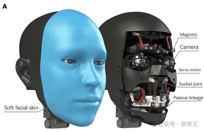 逆天！华裔学生开发人脸机器人，表情超逼真（组图） - 14