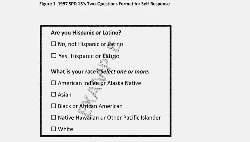 要更内卷了？27年来首次：美国官方修订族裔分类，亚裔再细分成华裔、印度裔...（组图） - 5