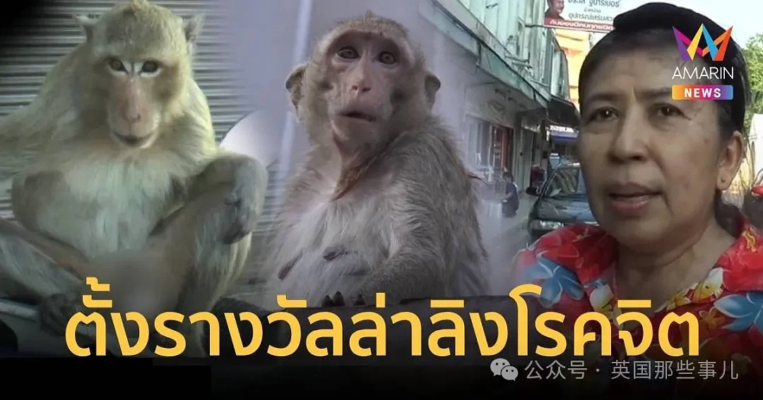 泰国色猴成内衣大盗，专偷女性内衣，老板娘气到昏厥：给我抓它俩去割蛋（组图） - 2