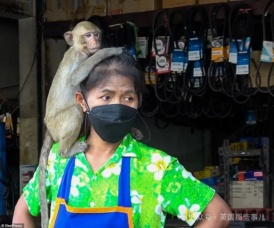 泰国色猴成内衣大盗，专偷女性内衣，老板娘气到昏厥：给我抓它俩去割蛋（组图） - 7