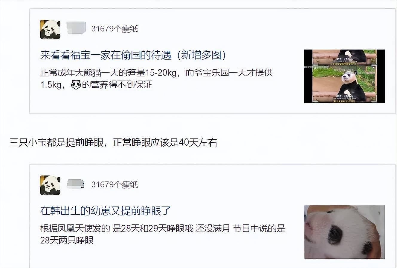 熊猫福宝韩国饲养员装哭惹群嘲，两个摄像师跟拍特写，比韩剧还假（组图） - 17