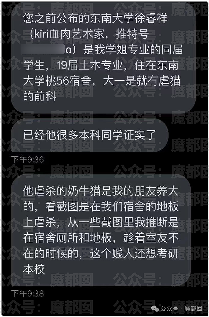 热搜第一！虐猫狂考研成绩第一被刷，孩子爆家人都是行长真相揭露（组图） - 6