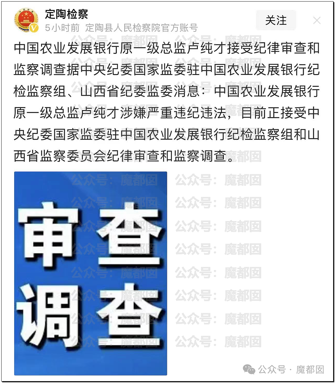 热搜第一！虐猫狂考研成绩第一被刷，孩子爆家人都是行长真相揭露（组图） - 32