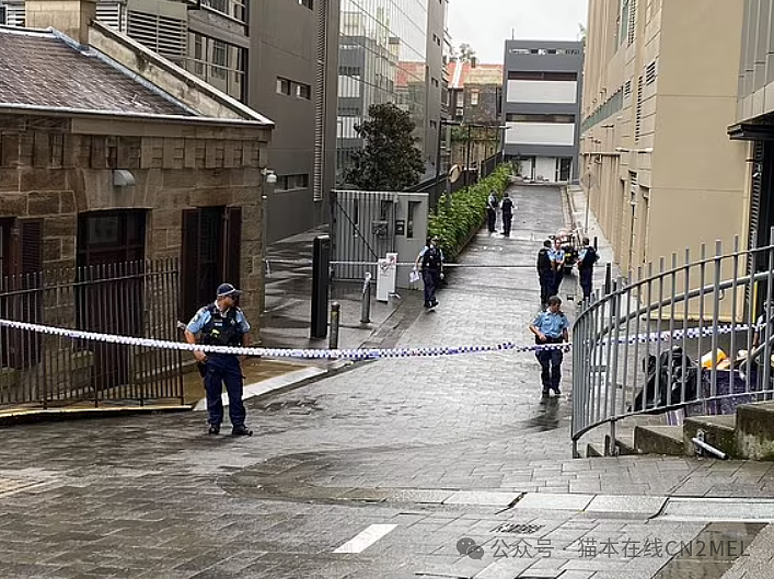 悉尼CBD突发！一女子从八楼坠楼身亡，坠下前还“扔下爱犬”（组图） - 2