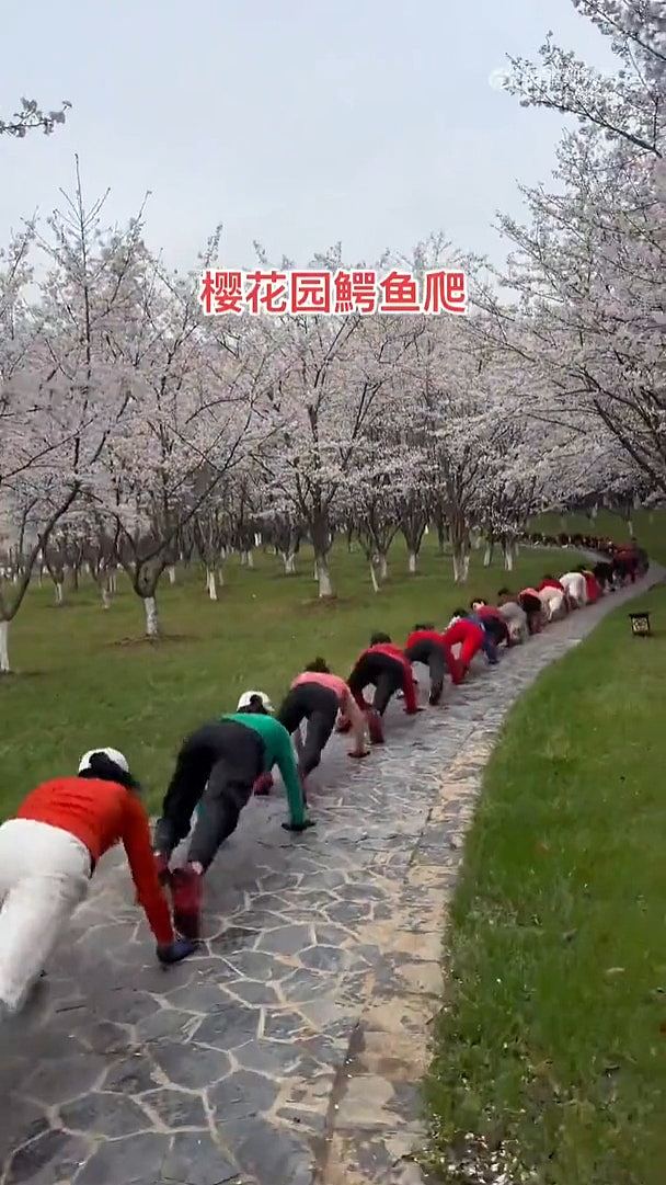 苏州公园惊见人形蜈蚣阵！几十人趴地爬行锻炼，画面极震撼（视频/组图） - 2