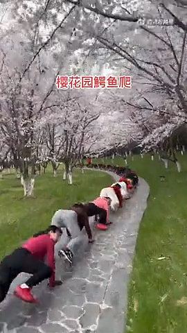 苏州公园惊见人形蜈蚣阵！几十人趴地爬行锻炼，画面极震撼（视频/组图） - 3