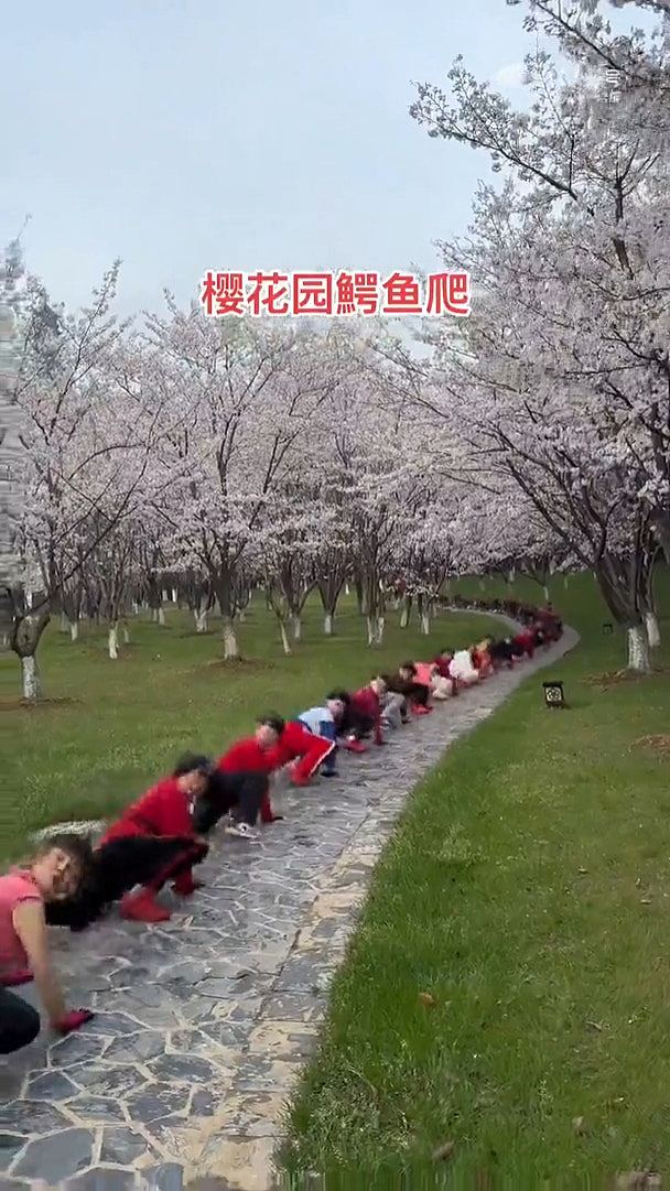 苏州公园惊见人形蜈蚣阵！几十人趴地爬行锻炼，画面极震撼（视频/组图） - 1