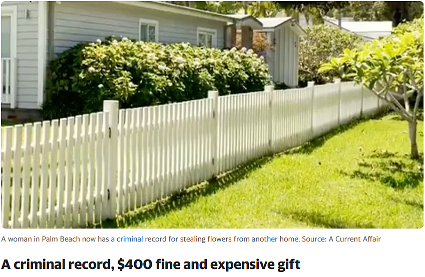 罚款$400刀，留下犯罪记录！悉尼女子因在邻居花园干了这件事被抓…（组图） - 5