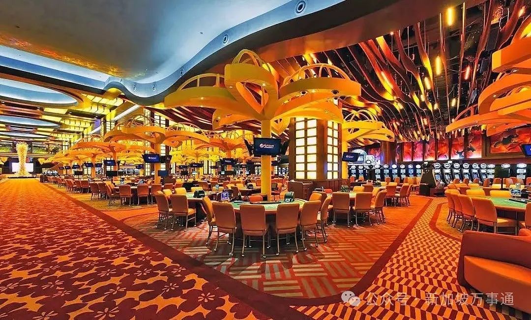 李光耀保留红灯区、李显龙批准开赌场！新加坡两任总理“造福”全世界游客…（组图） - 35