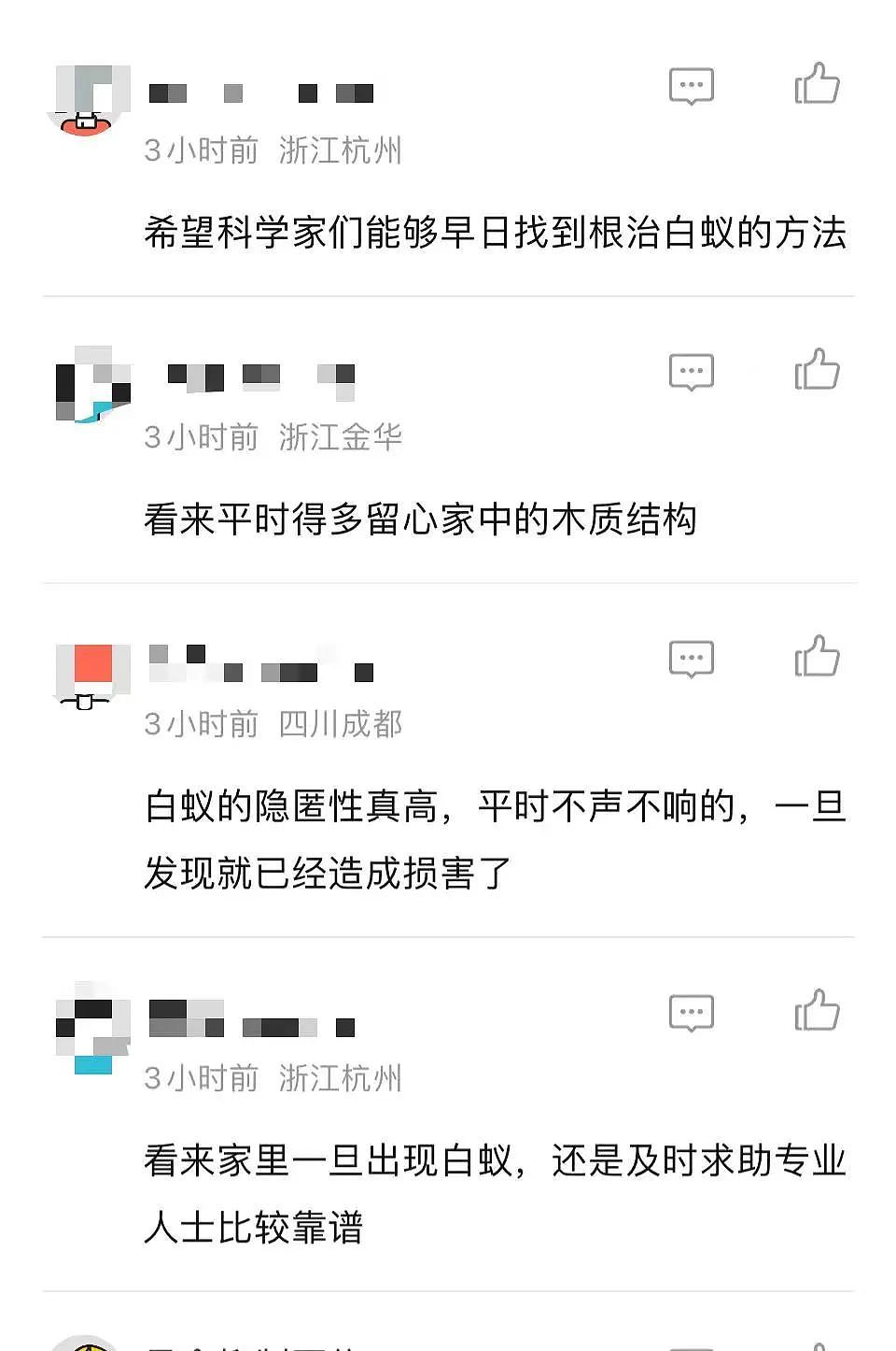 “涌出上千只！”杭州数百户人家被它突袭：整个人都麻了（组图） - 13