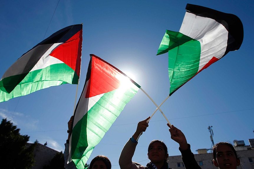 澳洲宣布考虑承认巴勒斯坦国，为两国方案“造势”（图） - 1