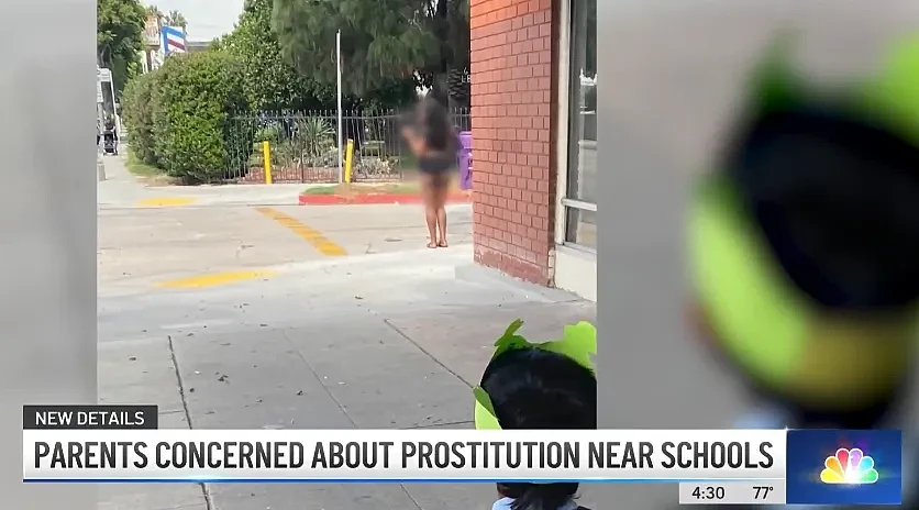 几乎全裸！性工作者据称在洛杉矶县小学附近卖淫，家长不安：“警察什么都不做”（组图） - 8