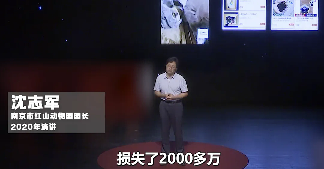 上海动物园大猩猩自虐事件爆了：这个时代，疯掉的到底是谁？（组图） - 25