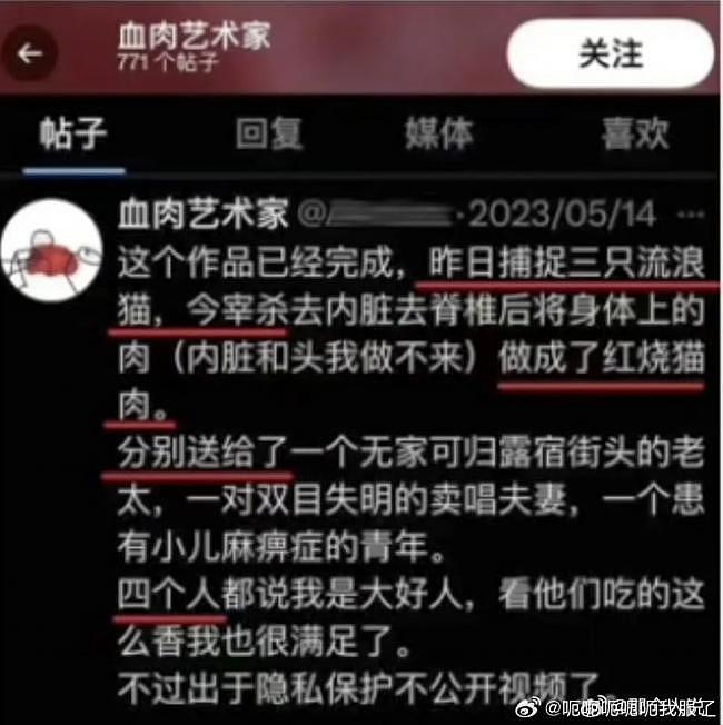 因被举报考不上研，虐猫狂魔后续:“他是无辜的”（组图） - 2