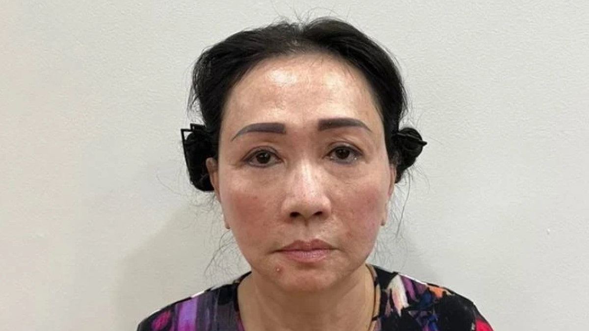 越南女首富张美兰诈骗案：港人丈夫朱立基囚9年，称家庭经历噩梦（组图） - 6